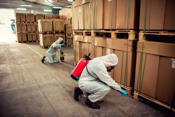 Best Emergency Pest Control  in Alvarado, TX