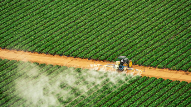 Best Pest Inspection Near Me  in Alvarado, TX